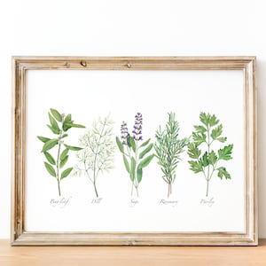 Culinary herbs print. Watercolor printable cooking herbs. Kitchen wall art. Herbs digital print. Herbs poster. Botanical wall decor.