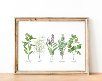 Culinary herbs print. Watercolor printable cooking herbs. Kitchen wall art. Herbs digital print. Herbs poster. Botanical wall decor.