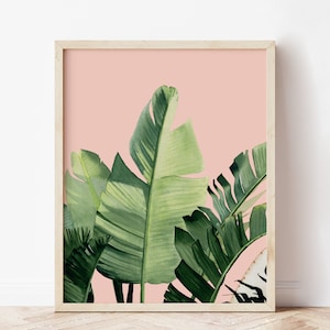 Stampa di foglie di banano rosa: arte murale tropicale ad acquerello (download digitale)