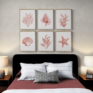 Coral seashells prints set of 6. Coastal printable wall art. Beach house art prints. Watercolor sea life posters. Pink seaweeds nautical art image 7