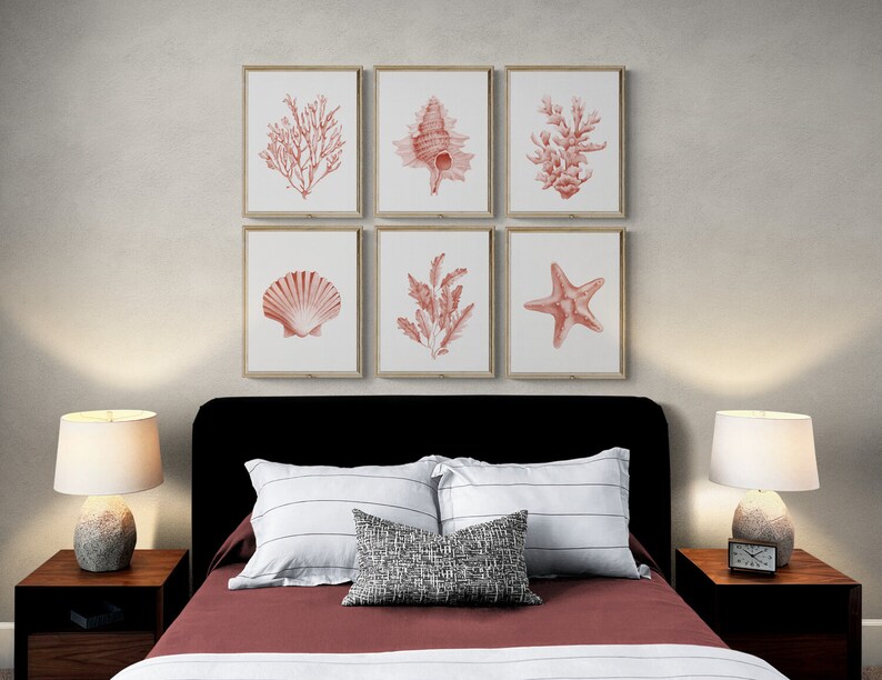 Coral seashells prints set of 6. Coastal printable wall art. Beach house art prints. Watercolor sea life posters. Pink seaweeds nautical art image 7