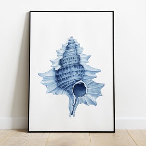 May include: A blue watercolor painting of a seashell with intricate details. The shell is depicted in a light blue color with darker blue accents, creating a realistic and artistic representation.