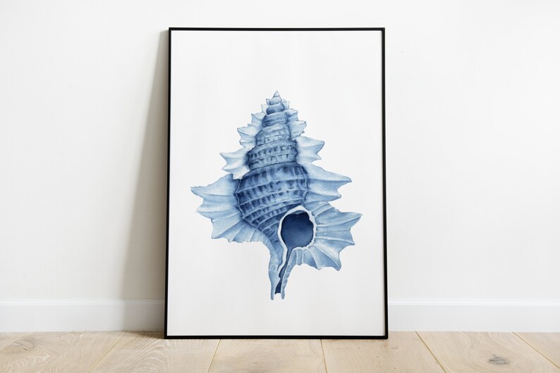 May include: A blue watercolor painting of a seashell with intricate details. The shell is depicted in a light blue color with darker blue accents, creating a realistic and artistic representation.