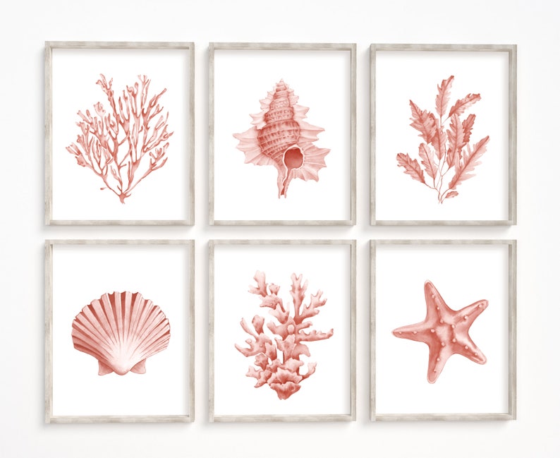 Coral seashells prints set of 6. Coastal printable wall art. Beach house art prints. Watercolor sea life posters. Pink seaweeds nautical art image 4