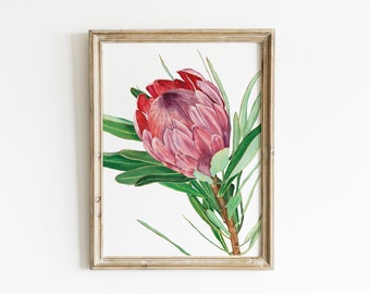 Watercolor protea print. Pink floral wall art. Printable tropical flowers. Australian native wall decor. King protea painting. Exotic floral