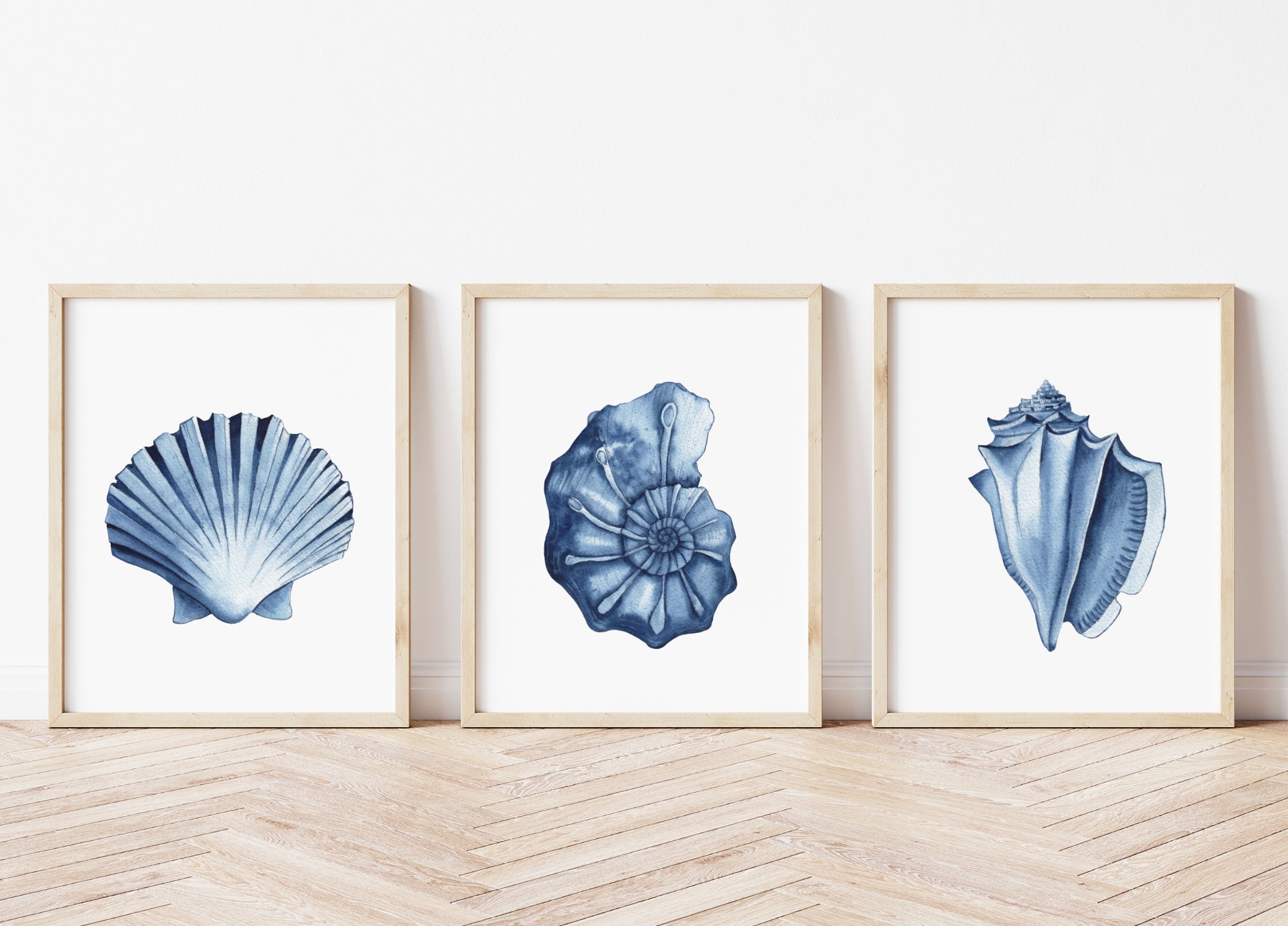 Hampton Style Wall Art Prints Posters Coastal Sea Shell Canvas Painting Picture Vintage Illustration Navy Indigo