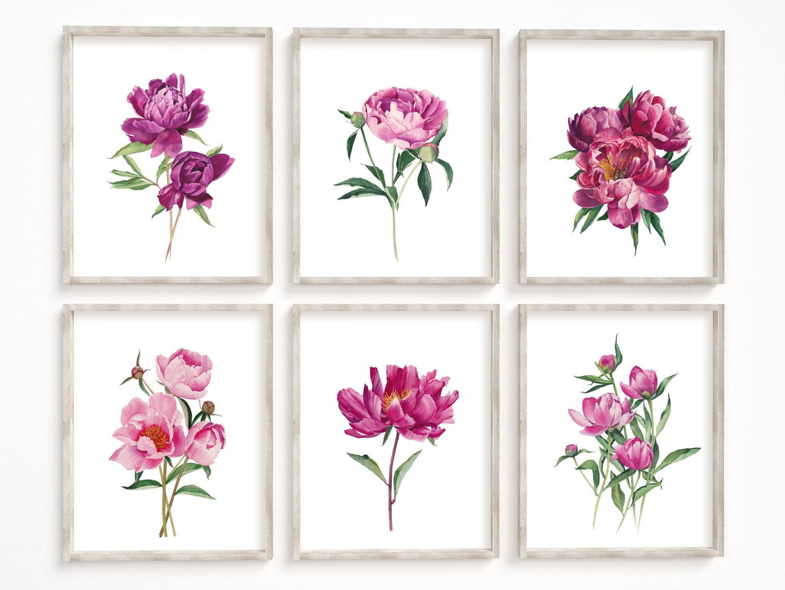 Peonies Printable Wall Art Set of 6. Watercolor Floral Gallery - Etsy