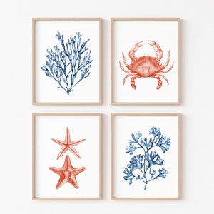Coral sea life prints set of 4. Coastal printable wall art. Watercolor blue and coral crab, starfish decor. Crustaceancore nautical wall art