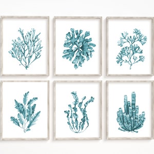 Blaugrün Algen Drucke Set von 6. Türkis Küsten Wandkunst. Strandhaus Kunstdrucke. Maritime Wanddeko in Aquarell. Korallen Poster