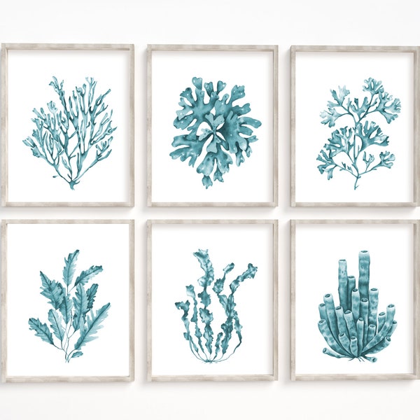 Ensemble de 6 gravures d'algues bleu sarcelle. Art mural côtier imprimable turquoise. Impressions d'art de maisons de plage. Décoration murale nautique à l'aquarelle. Posters de coraux
