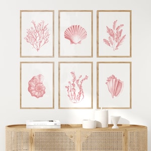 Pink seashells corals prints set of 6. Coastal printable wall art. Watercolor Nautical wall decor. Boho beach house art. Blush pink wall art
