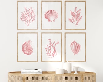 May include: Set of six pink and white framed prints featuring illustrations of seashells and seaweed. The prints are arranged in a grid pattern on a white wall.