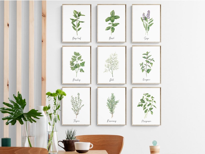 DIN A4 Kunstdruck-Set (2er) – Petersilie & Rosmarin, Aquarell-Kräuter-Motive, Ungerahmt
