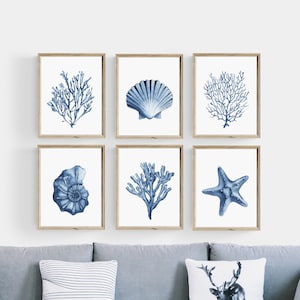 Blue shell prints set of 6. Navy algae, starfish printable wall art. Watercolor coastal prints. Nautical wall art. Beach cottage art prints image 6