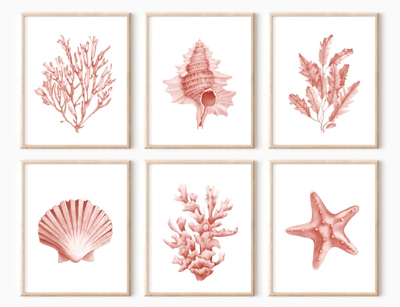 Coral seashells prints set of 6. Coastal printable wall art. Beach house art prints. Watercolor sea life posters. Pink seaweeds nautical art image 2