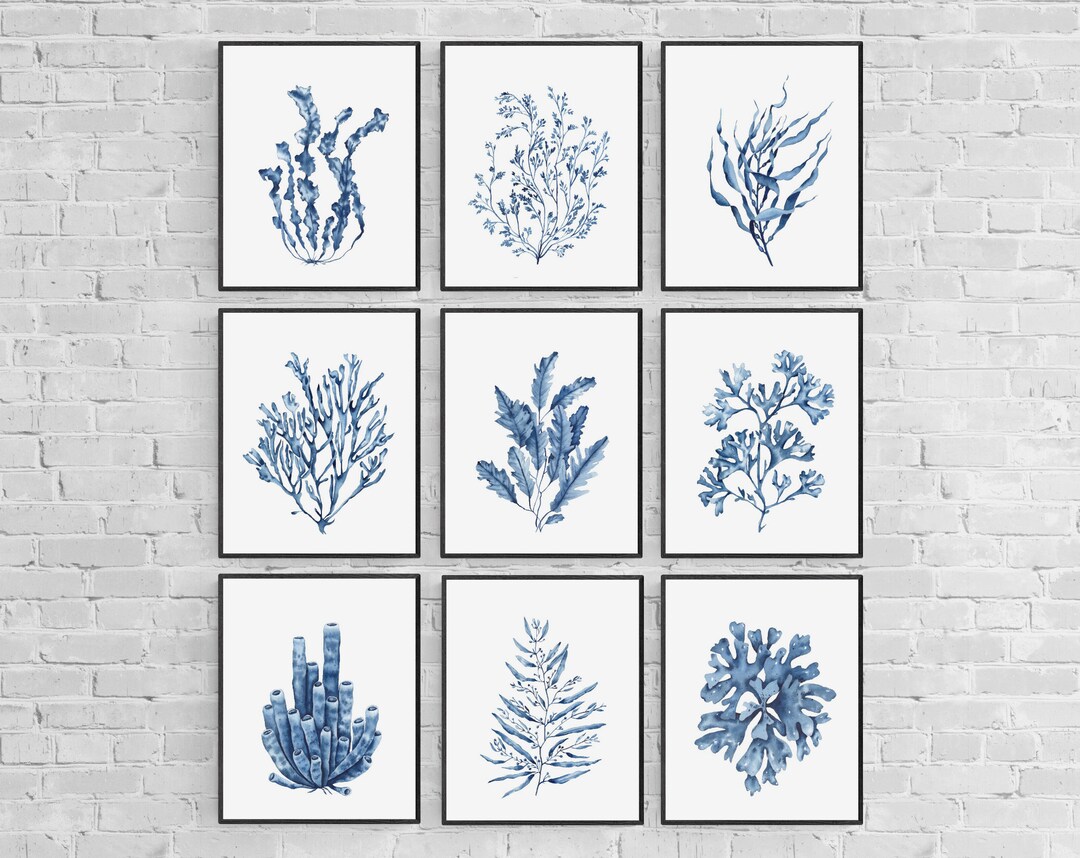 Blue Seaweeds Prints Set. Coastal Wall Art. Set of 9 Watercolor Blue ...