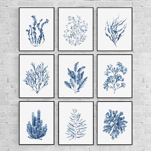 Blue seaweeds prints set. Coastal wall art. Set of 9 watercolor blue seaweeds. Sea corals digital prints. Nautical printable wall decor