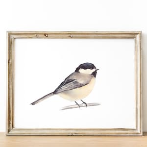 Chickadee art print. Bird watercolor digital print. Printable Garden bird. Black capped chickadee painting bird. Minimalist bird wall art.