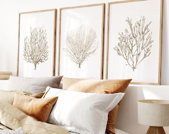Neutral corals prints set of 3. Beige watercolor sea fan printable wall art. Sepia coastal art prints. Boho Beach Art. Nautical wall art.
