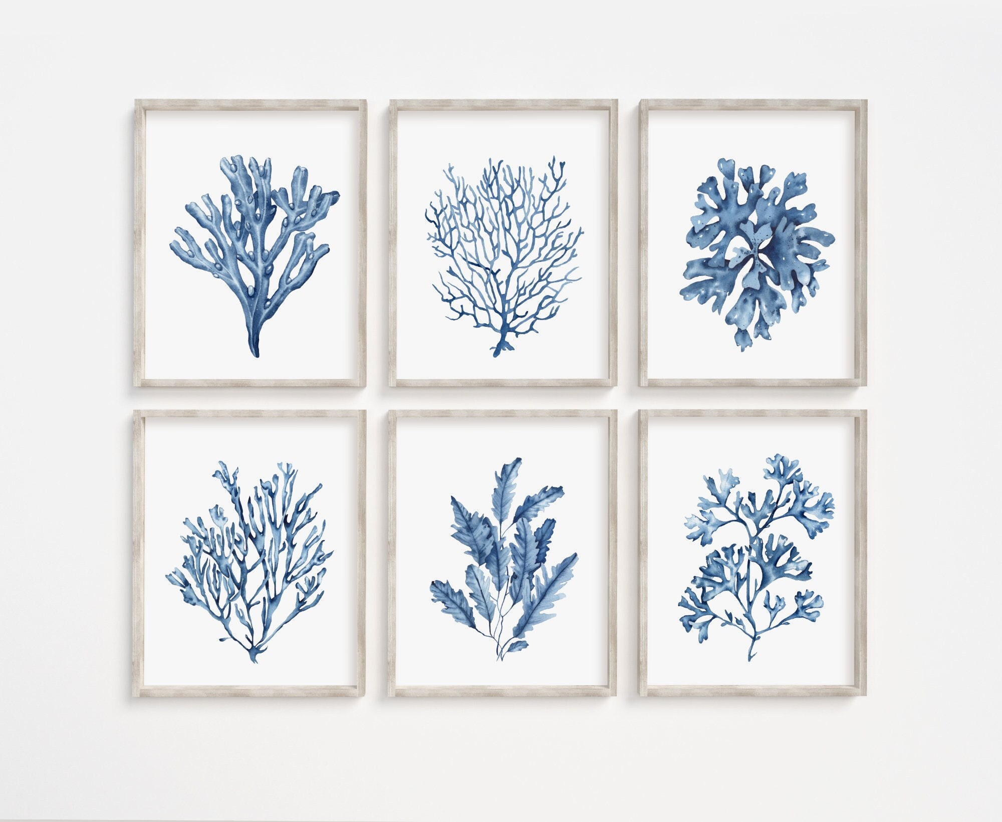 Buy Coral Reef Wall Decor (Blue) Online- At Home by Nilkamal