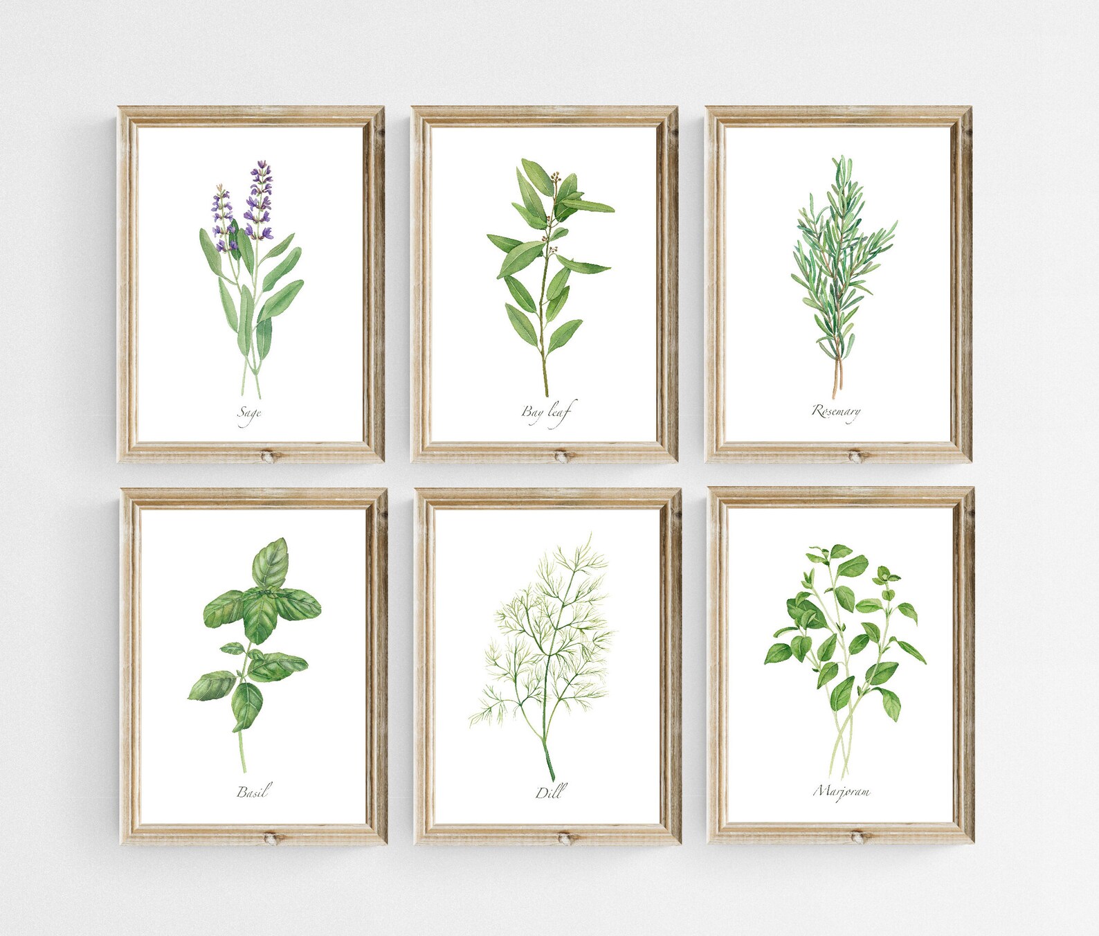 Kitchen Herbs Prints Set of 12. Watercolor Herbs Prints. Printable ...