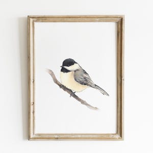 Chickadee bird wall art print. Watercolor bird digital print. Black capped chickadee painting bird. Minimalist bird art. Birdwatcher gift