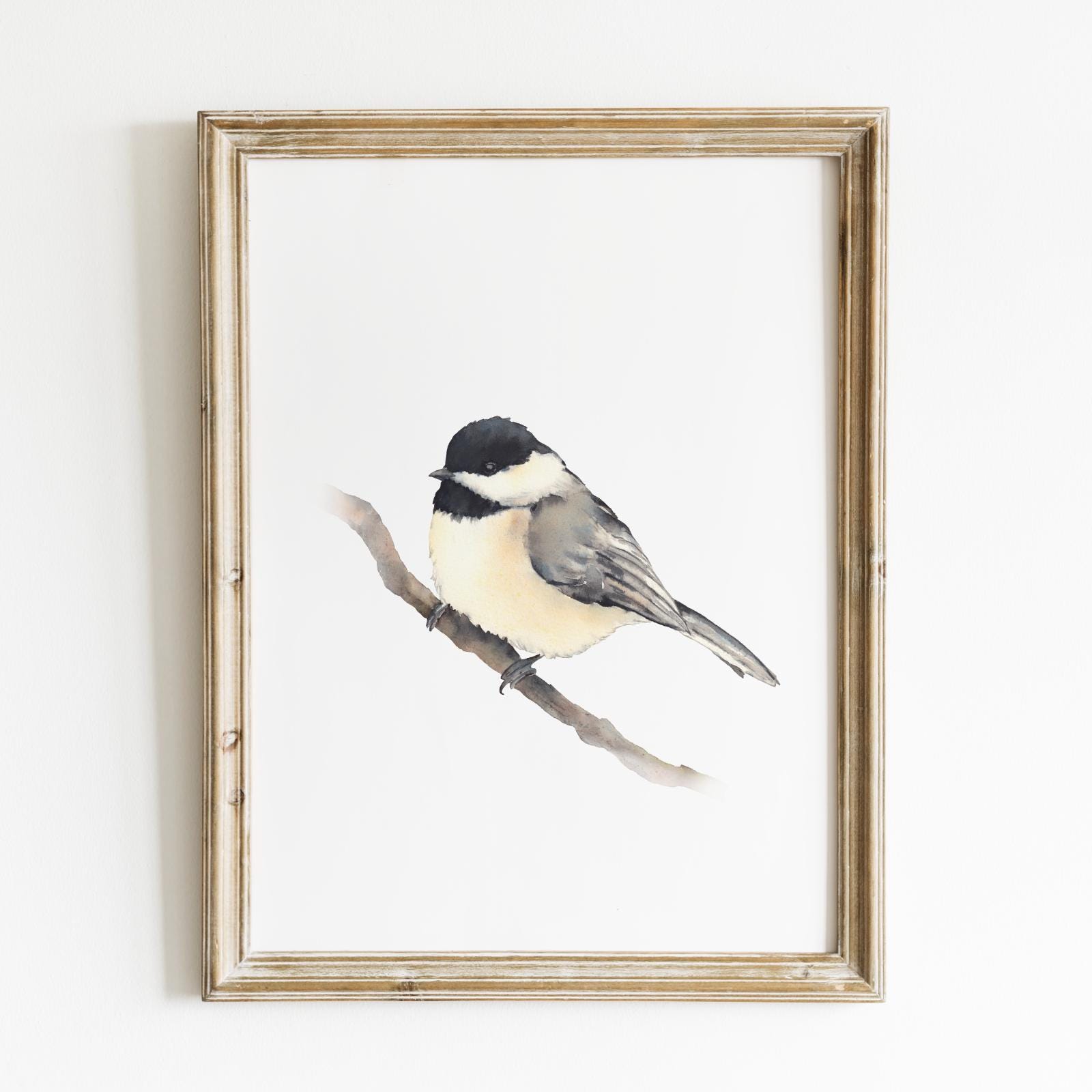 Chickadee bird wall art print. Watercolor bird digital print. Black capped chickadee painting bird. Minimalist bird art. Birdwatcher gift