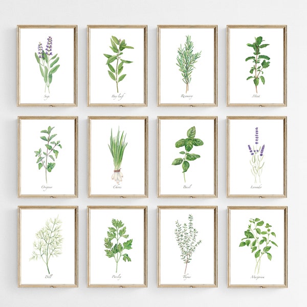Watercolor Herbs - Etsy