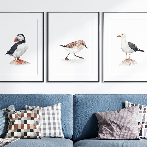 Juego de 3 impresiones de aves playeras. Impresiones digitales de aves en acuarela. Pintura de gaviota, frailecillo y andarríos. Póster de aves playeras. Arte mural de aves costeras