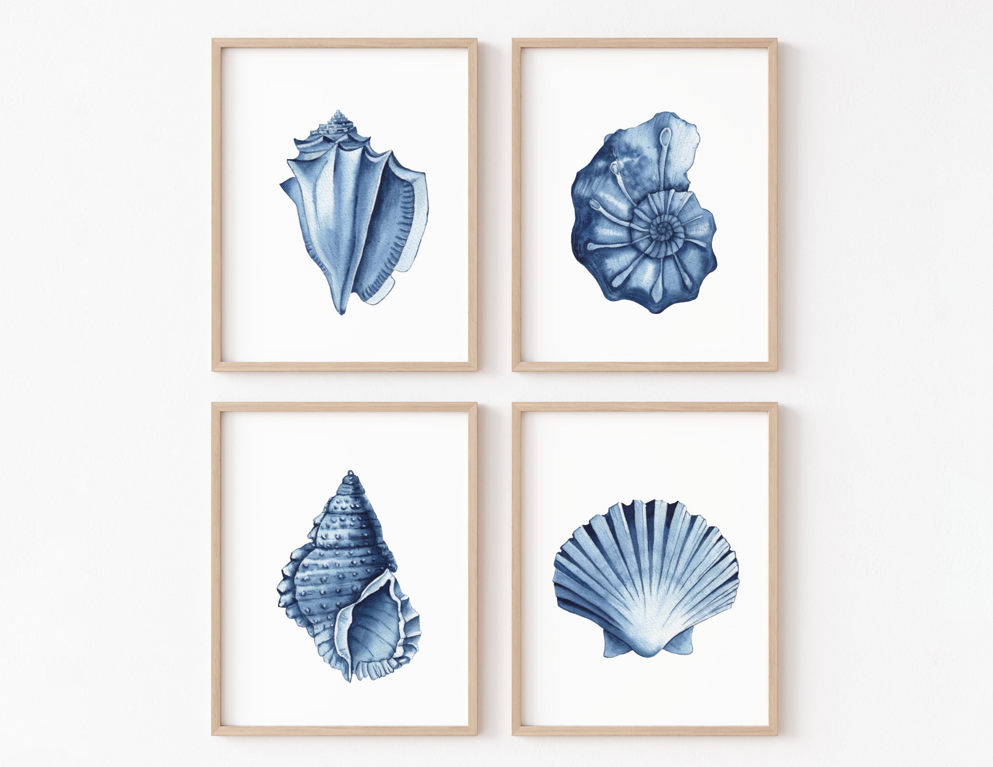 Hampton Style Wall Art Prints Posters Coastal Sea Shell Canvas Painting Picture Vintage Illustration Navy Indigo