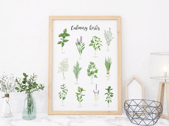 Kitchen herbs print. Watercolor culinary herbs wall art. Cooking herbs chart. Farmhouse Kitchen printable wall art. Plant Herb Spice Print.