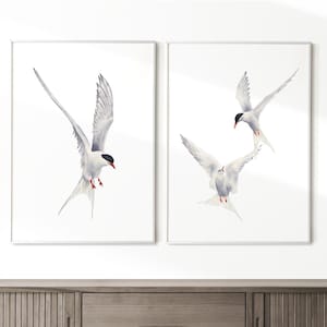 Arctic tern birds prints set of 2. Watercolor seabird printable art. Minimalist flying bird painting. Shore birds wall art.