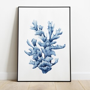 May include: A framed watercolor painting of blue coral on a white background.