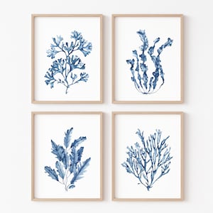 Navy blue coral and seaweeds print set of 4. Blue Coastal printable wall art.  Nautical room decor. Beach house art. Hamptons style art.
