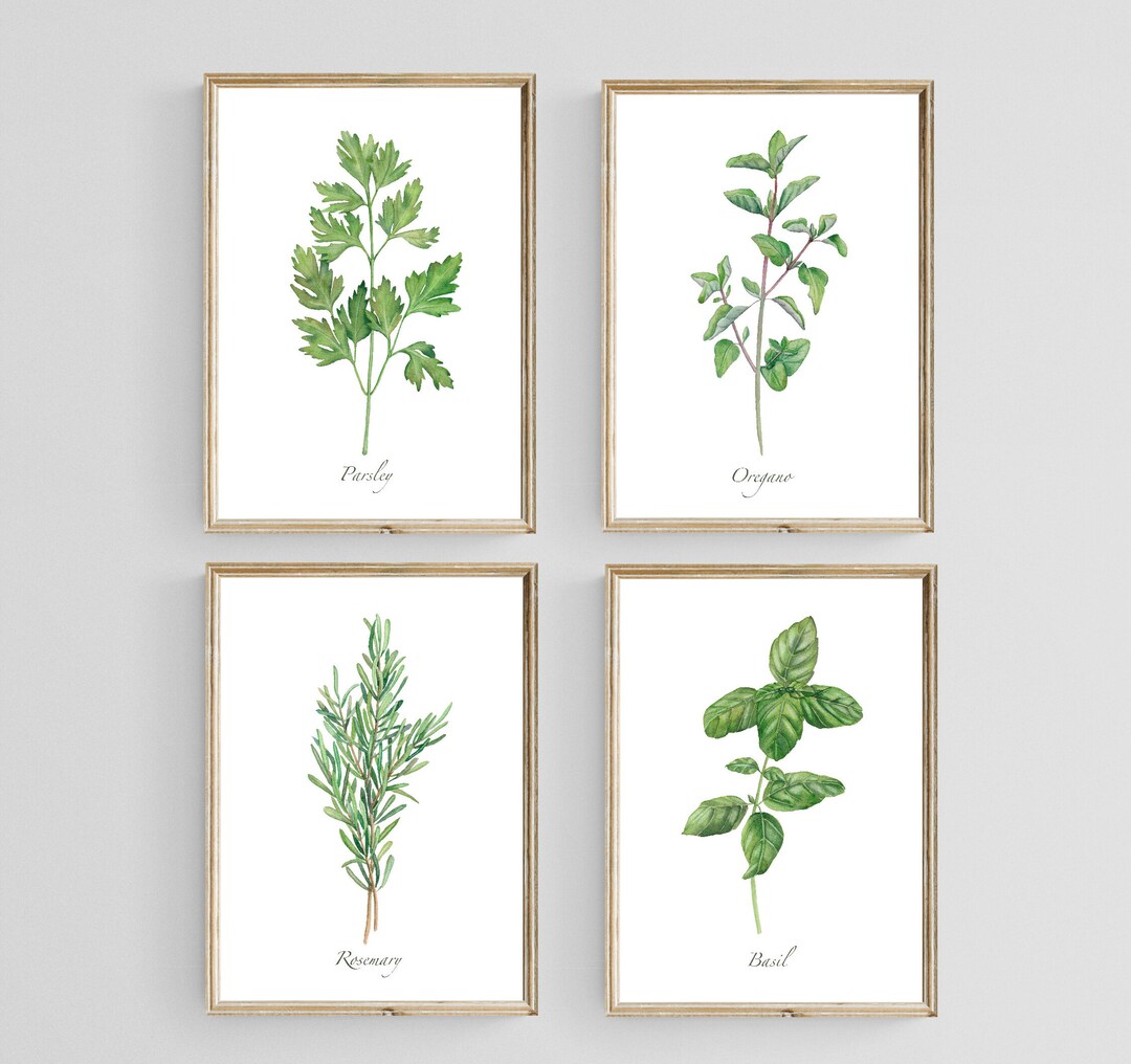 Herbs Digital Prints Wall Art. Watercolor Culinary Herbs Print Set of 4 ...