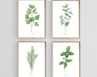 Può includere: Quattro illustrazioni ad acquerello incorniciate di erbe: prezzemolo, origano, rosmarino e basilico. Ogni illustrazione presenta un singolo rametto di erba con il suo nome stampato sotto.