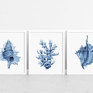 May include: Set of three blue and white watercolor prints featuring a seashell, coral, and a seashell. The prints are framed in white frames and are displayed on a white surface.
