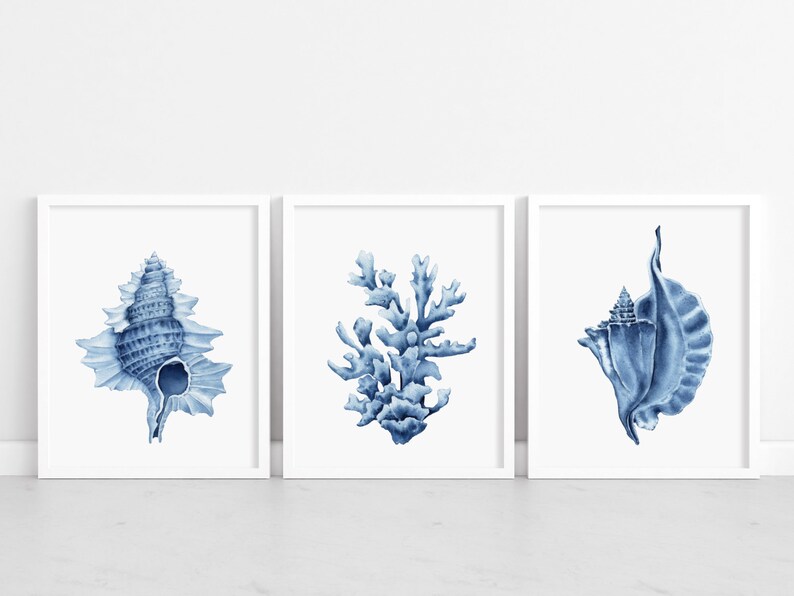 May include: Set of three blue and white watercolor prints featuring a seashell, coral, and a seashell. The prints are framed in white frames and are displayed on a white surface.