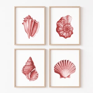 Puede incluir: Conjunto de cuatro impresiones de arte imprimibles con ilustraciones de acuarela roja de conchas marinas. Las impresiones son perfectas para agregar un toque de encanto costero a cualquier habitación.