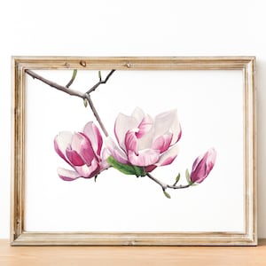 Magnolia flower print. Floral wall art. Printable magnolias branch. Watercolor pink flowers digital print. Living room decor. Flowers print