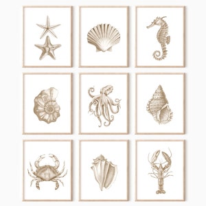 Beige Sea life Prints-Set von 9. Küsten druckbare Wandkunst. Aquarell Poster von Muscheln, Oktopus, Seepferdchen, Krabbe. Krebstierkern Wandbild