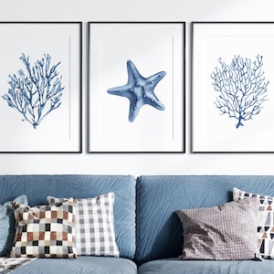 Blue Shell Ptints Blue Shell Prints Set of 6. Navy Algae, Starfish Printable Wall Art ...