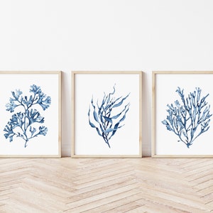 May include: Set of three watercolor prints featuring blue seaweed illustrations in a minimalist style. The prints are framed in natural wood frames and displayed on a white wall with a wood floor.
