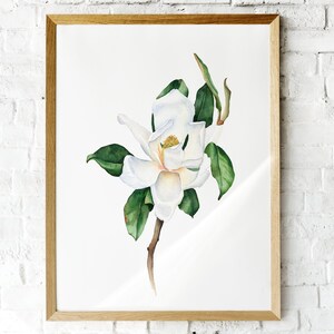 White magnolia wall art print. Instant download magnolia. Botanical Floral wall decor. Watercolor magnolia painting. Living room wall art