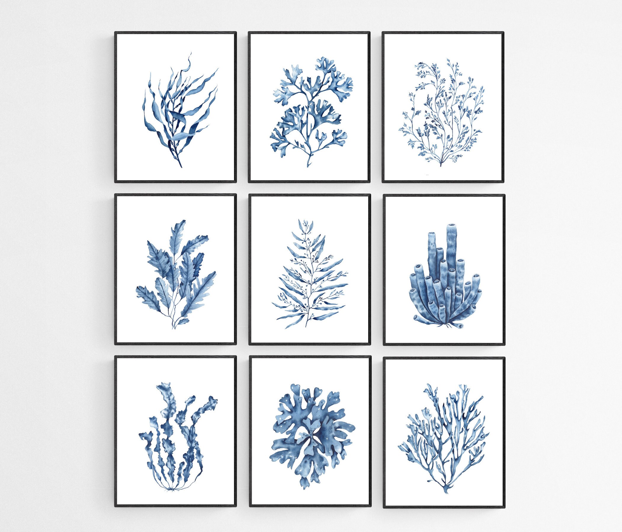 Blue Seaweeds Prints Set. Coastal Wall Art. Set of 9 Watercolor Blue ...