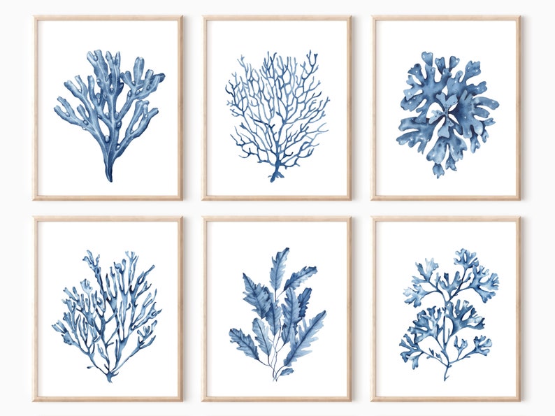 Blue Seaweeds Corals Prints Set of 6. Navy Coastal Printable - Etsy