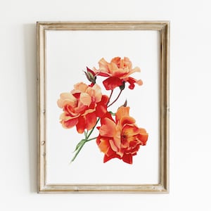 Garden roses print. Orange floral wall art. Vibrant roses watercolor print. Farmhouse botanical wall decor. Flowers painting. Gift for Mom