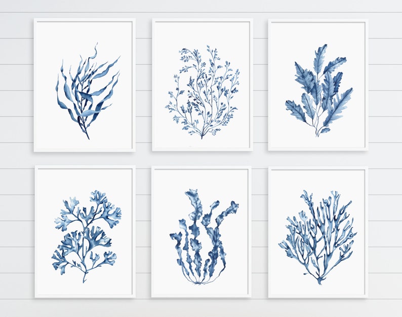 Blue Seaweeds Corals Prints Set of 6. Coastal Printable Wall Art ...