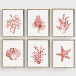 Juego de 6 láminas de conchas de coral. Arte mural costero imprimible. Láminas de casas de playa. Pósteres de vida marina en acuarela. Arte náutico de algas rosadas