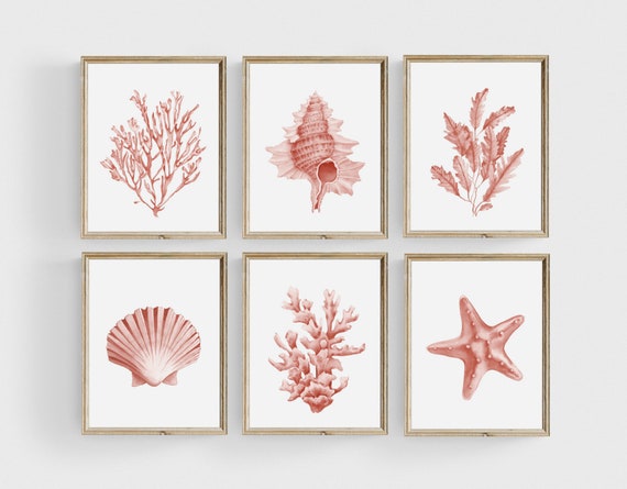 Coral seashells prints set of 6. Coastal printable wall art. Beach house art prints. Watercolor sea life posters. Pink seaweeds nautical art